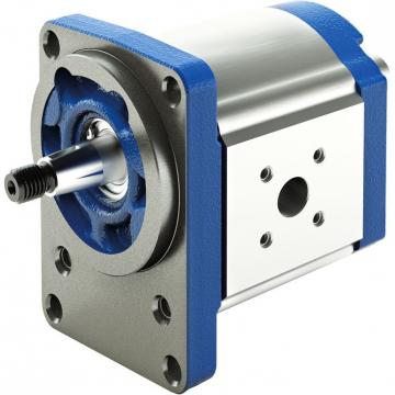 ALP2A-D-13 MARZOCCHI ALP Series Gear Pump