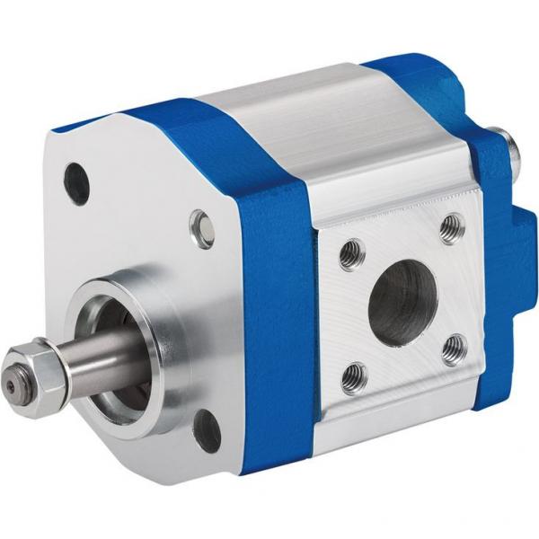 1PD4.2GAS MARZOCCHI ALP Series Gear Pump #1 image