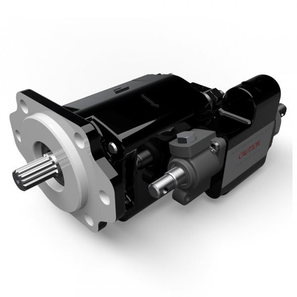 Taiwan Anson Vane Pump PVDF PVF-15-20-10S Series #1 image